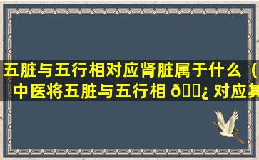 五脏与五行相对应肾脏属于什么（中医将五脏与五行相 🌿 对应其中肾脏属于）